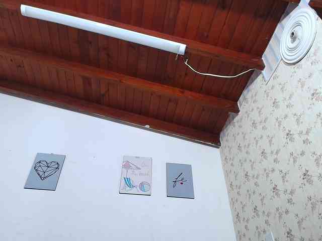Pao- webcam