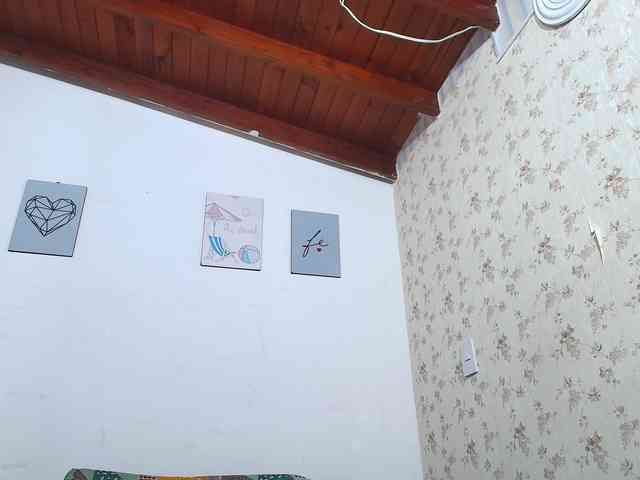 Pao- webcam
