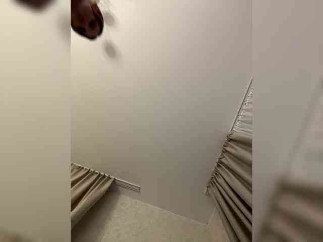 LedyMiya webcam