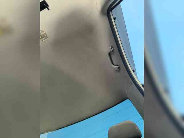 LedyMiya webcam
