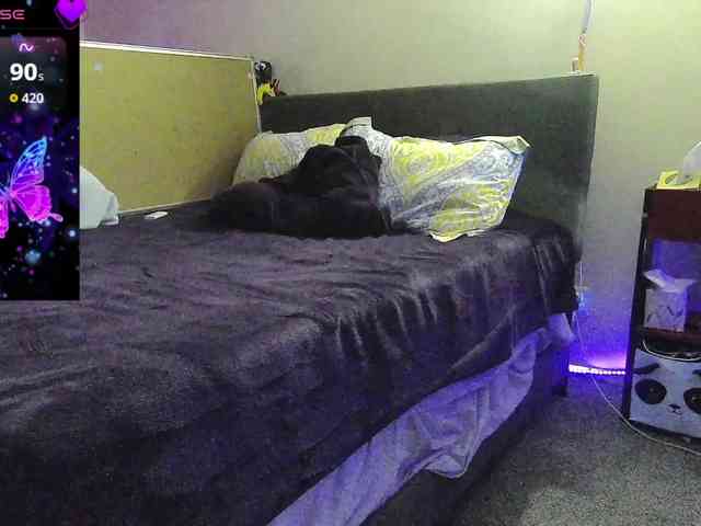 bubblybubbles webcam