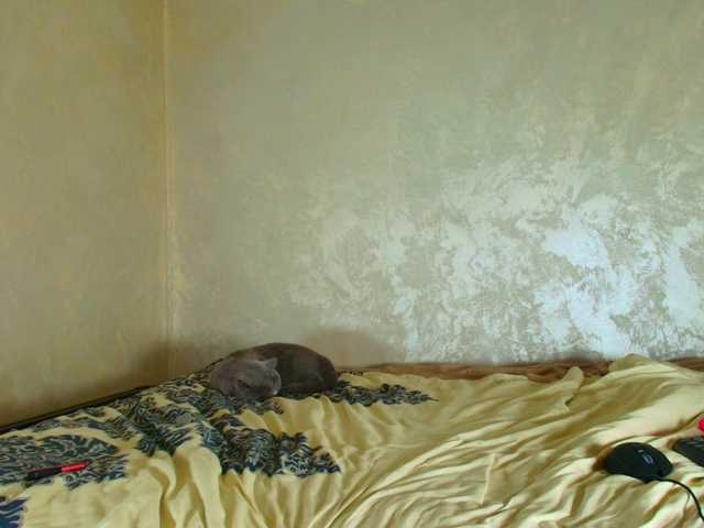 ParisVany26's BongaCams show and profile