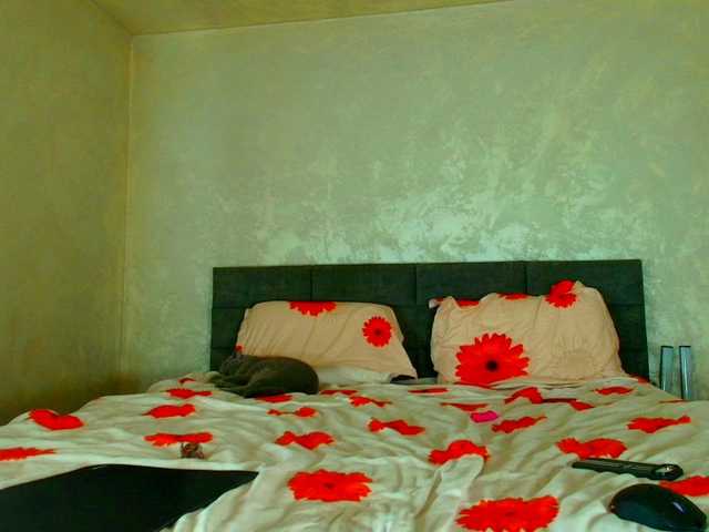 Preview of lauravanessa