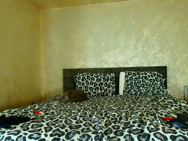 ParisVany26's BongaCams show and profile