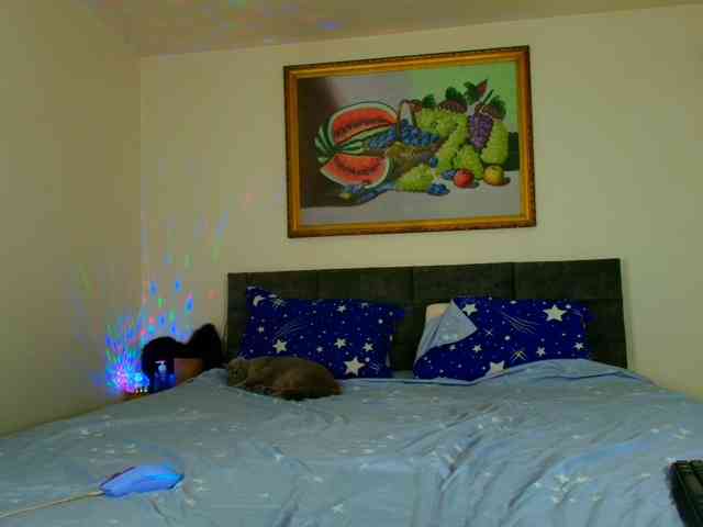 LauraVanessa webcam