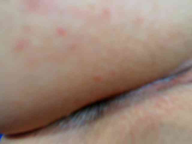 LauraVanessa webcam