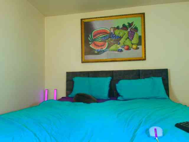 LauraVanessa webcam