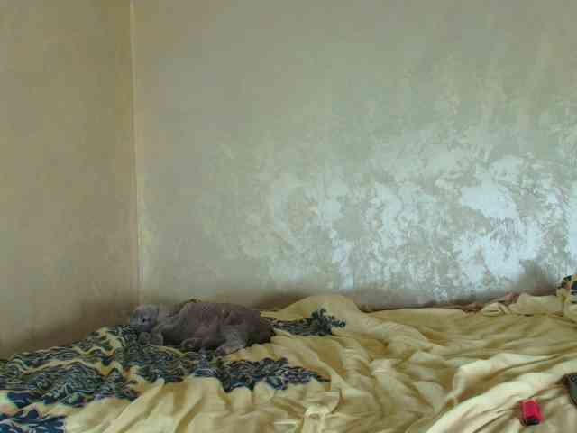 ParisVany26 ParisVany26