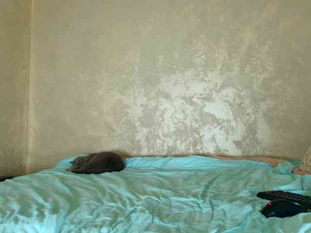 LauraVanessa webcam