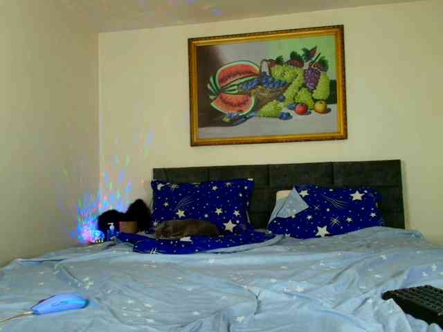 LauraVanessa webcam