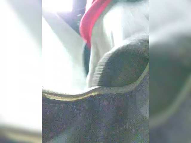 Preview of editamilf