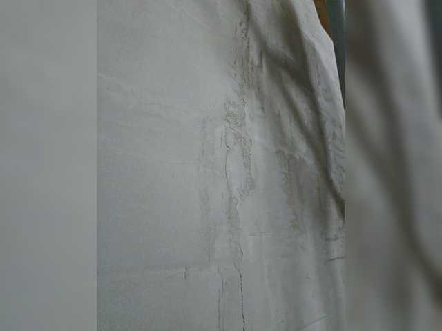 EditaMilf from BongaCams is Freechat