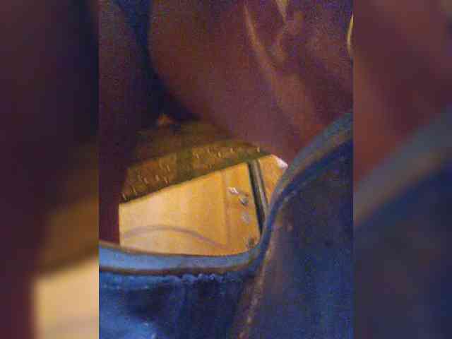 horny chat EditaMilf