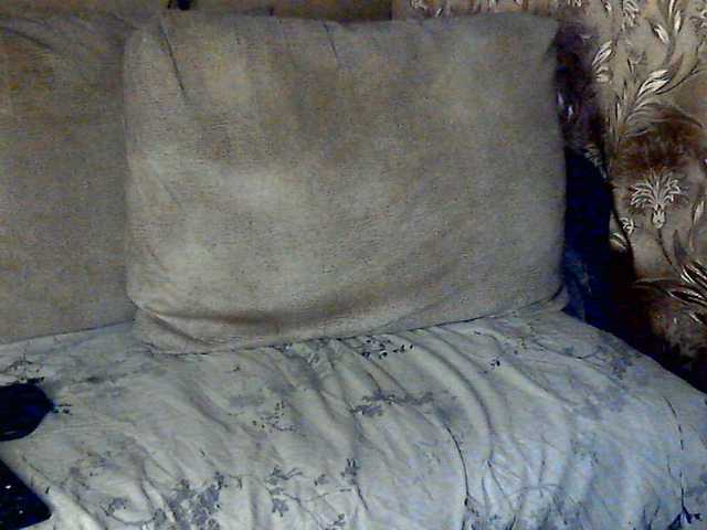 CuteGloria's BongaCams show and profile