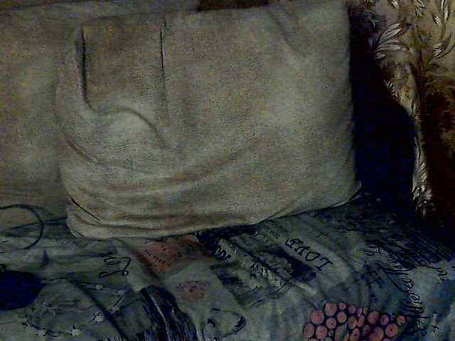 CuteGloria's BongaCams show and profile