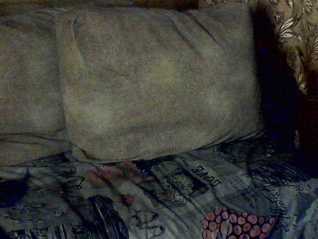 CuteGloria's BongaCams show and profile