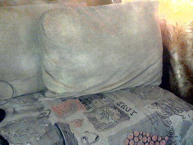 CuteGloria's BongaCams show and profile