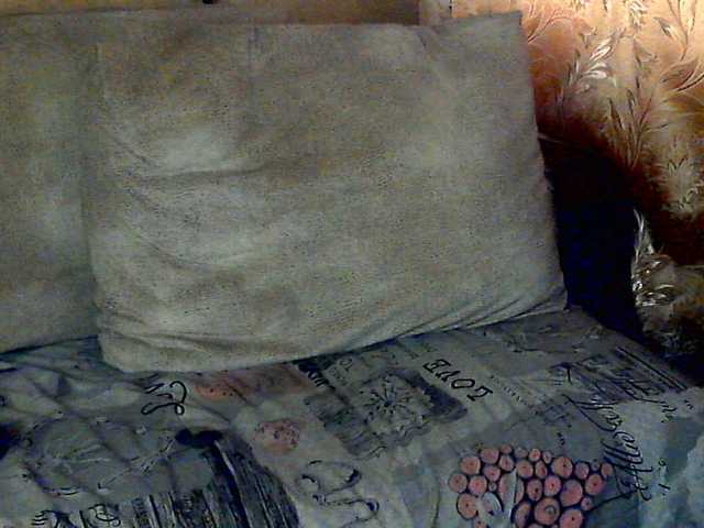 CuteGloria's BongaCams show and profile