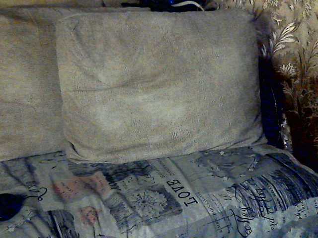 CuteGloria from BongaCams is Freechat