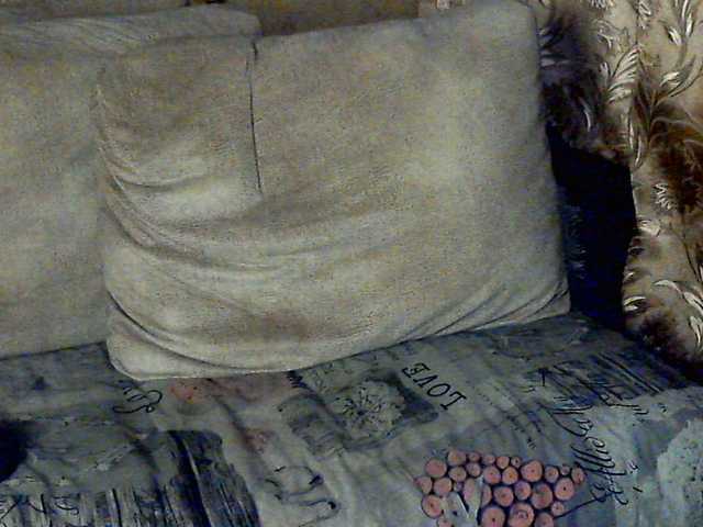 CuteGloria's BongaCams show and profile