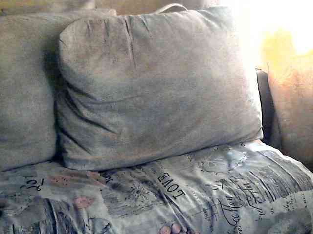 CuteGloria CuteGloria