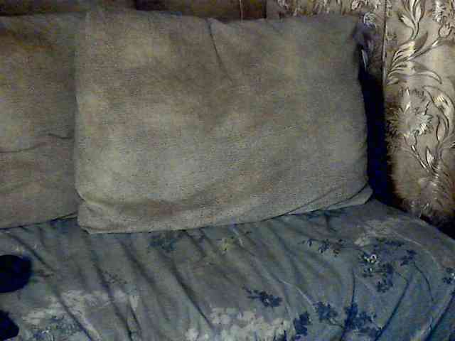 CuteGloria CuteGloria