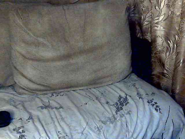 CuteGloria webcam