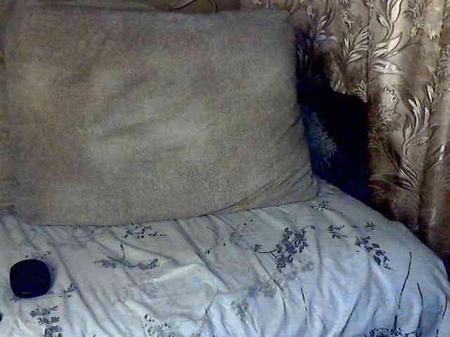 CuteGloria webcam