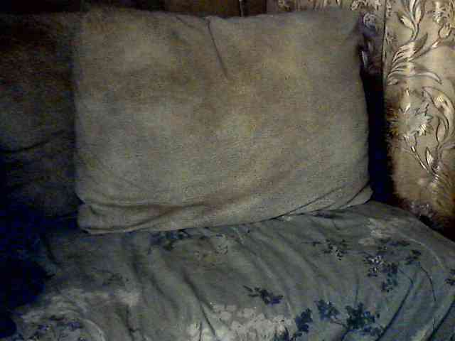 CuteGloria CuteGloria