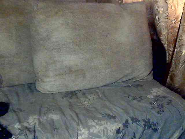 CuteGloria CuteGloria