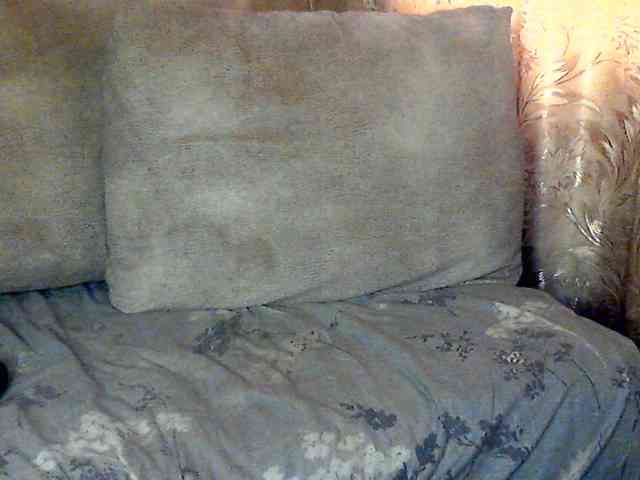 CuteGloria CuteGloria