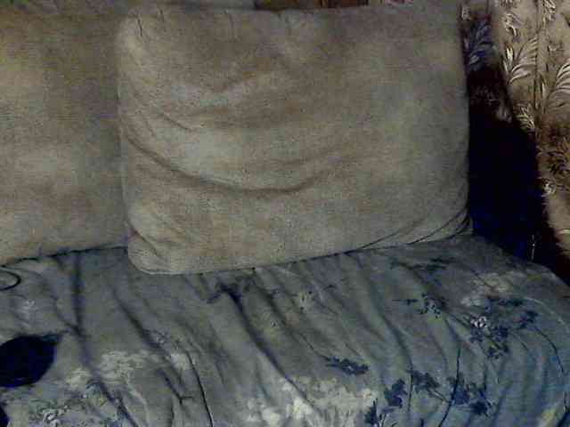 CuteGloria CuteGloria