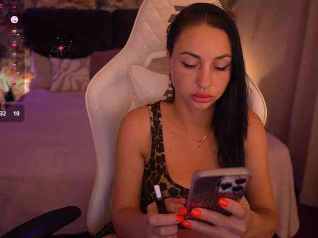 Magneticcc webcam
