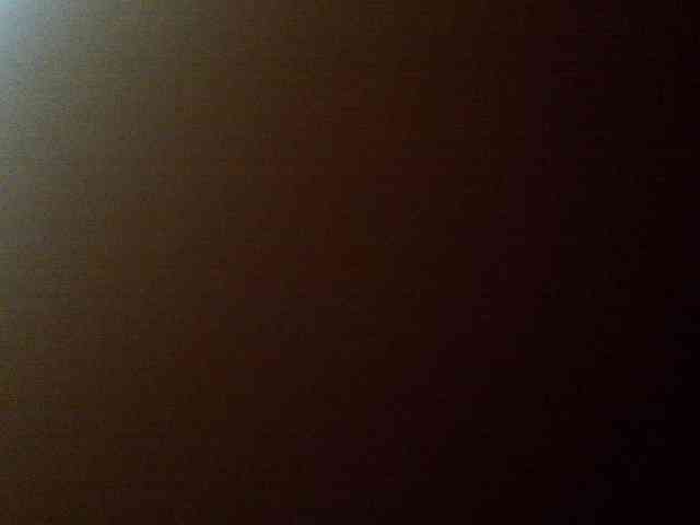 L-e-l-i-k webcam