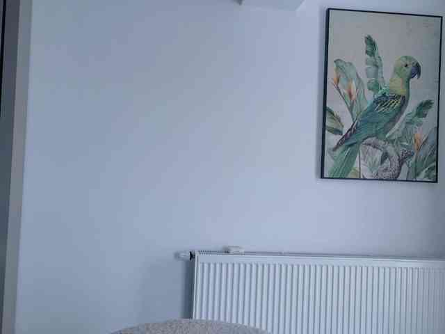 DiddySweet1 Live Webcam on BongaCams