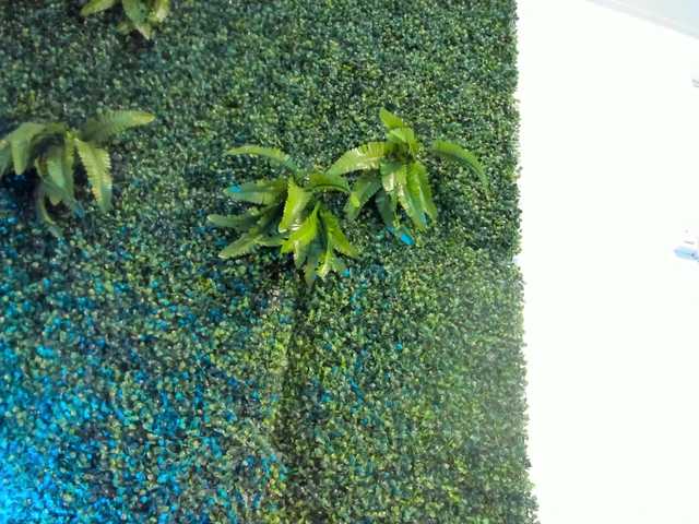 Preview of sansastaark