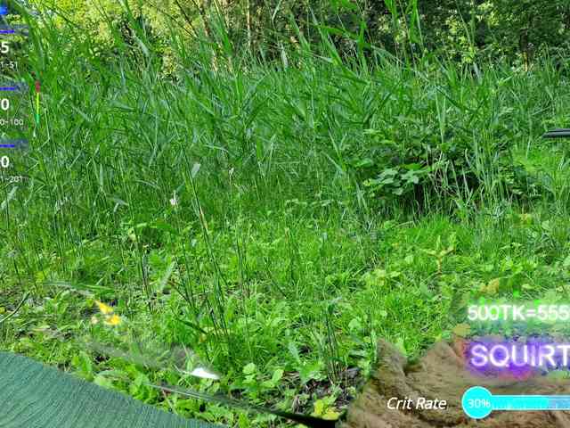 SansaStaark webcam