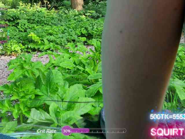 SansaStaark webcam