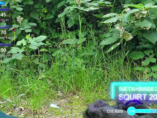 SansaStaark webcam