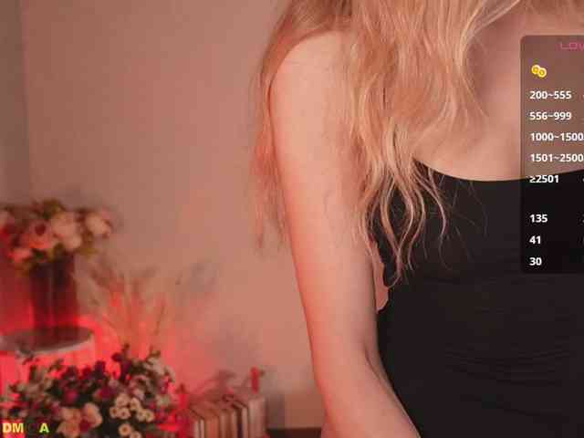 strip webcam Cockisa