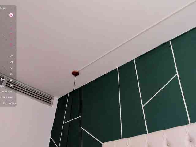 VeronicaLanz webcam
