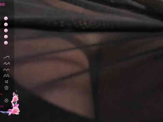 VeronicaLanz webcam