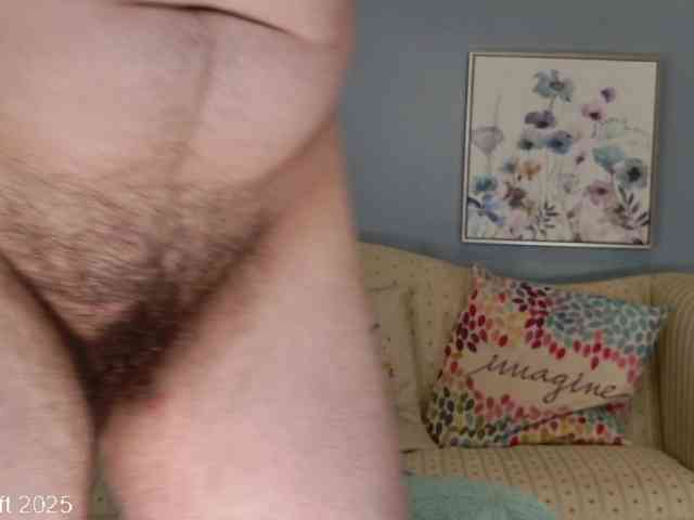 leiaswift webcam