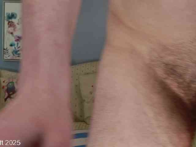 leiaswift webcam