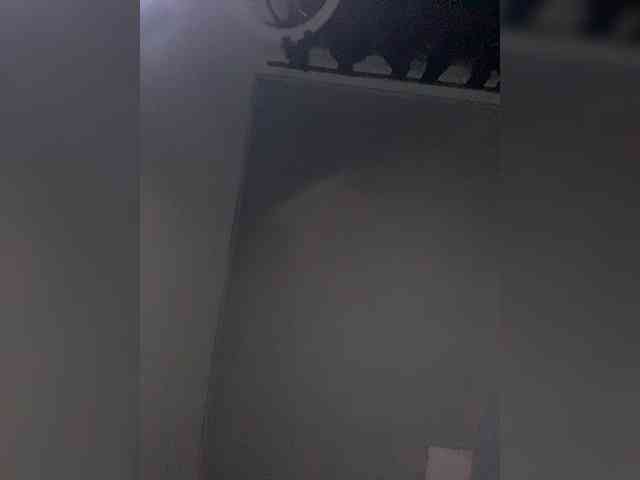 Allie-Rose Allie-Rose