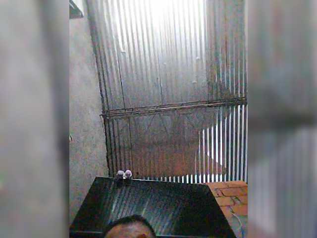 shairamature preview