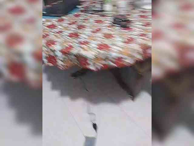 shairamature webcam