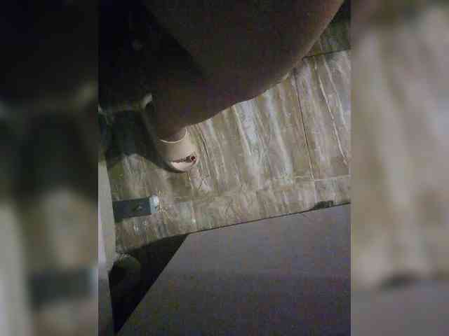 LeilaNightova LeilaNightova