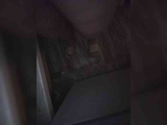 LeilaNightova LeilaNightova