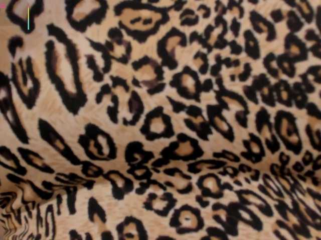 DannieSmith1's BongaCams show and profile